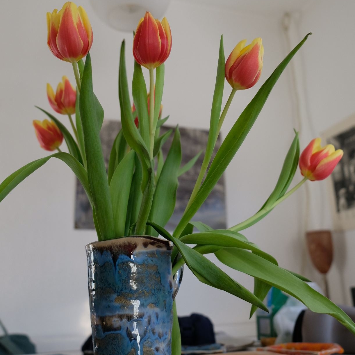 DSCF1330